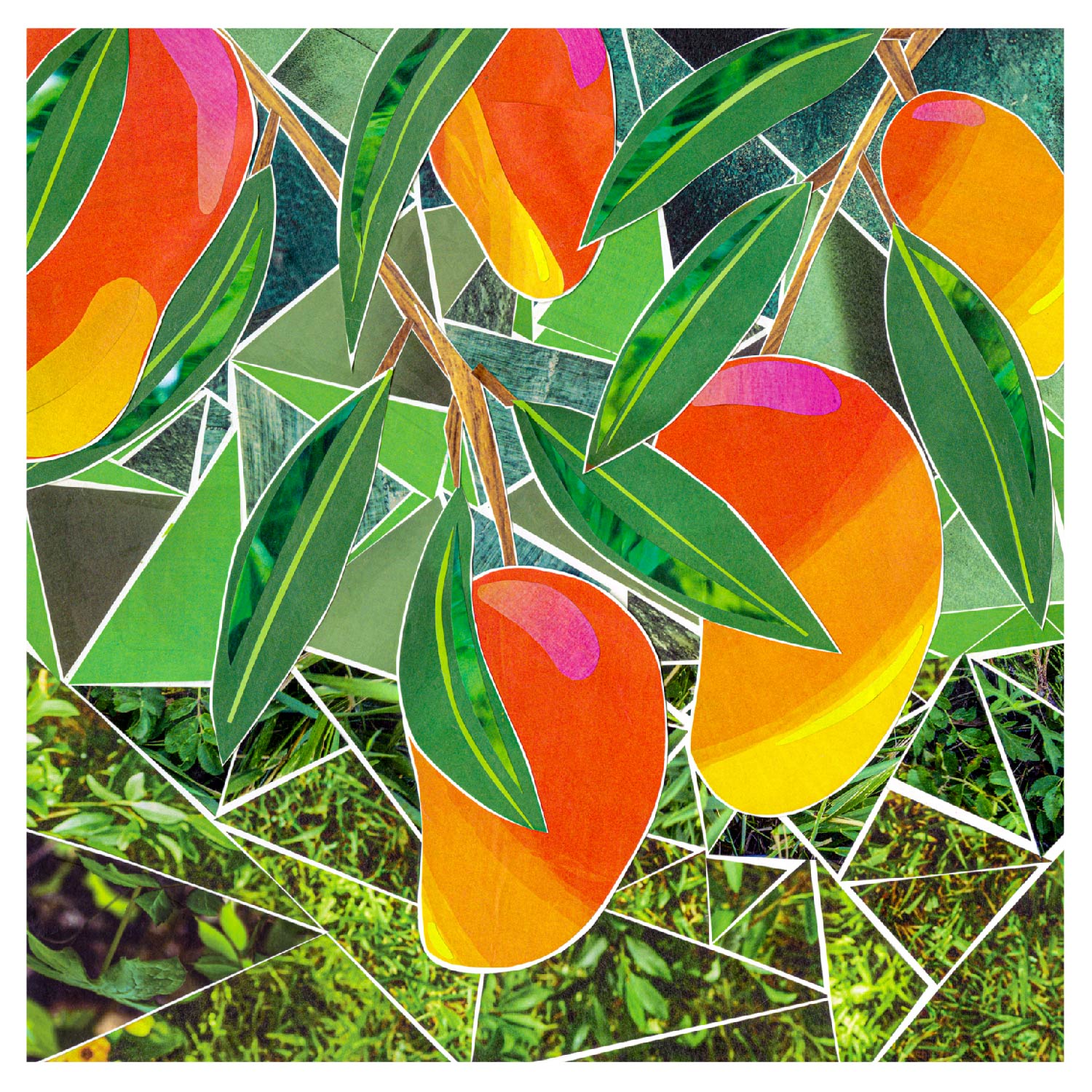 colorful mango collage art by more themerrlier