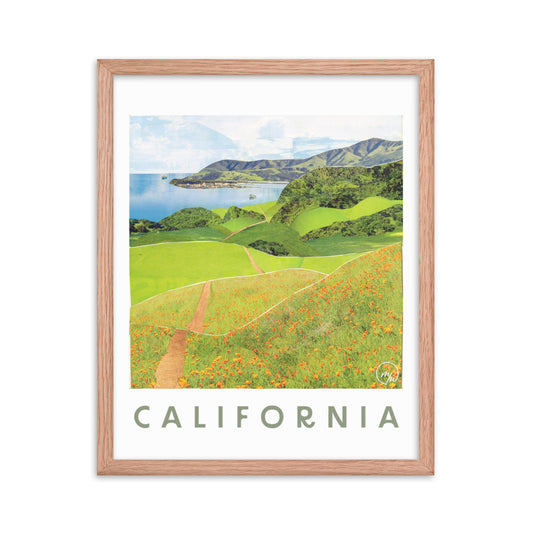 california coast framed poster