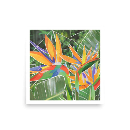 bird of paradise print
