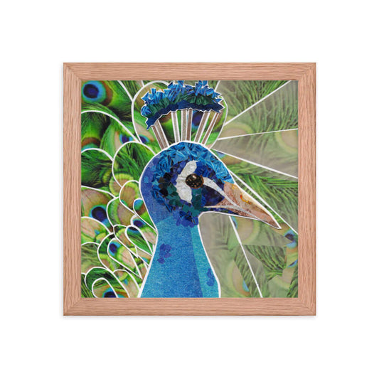 peacock framed print