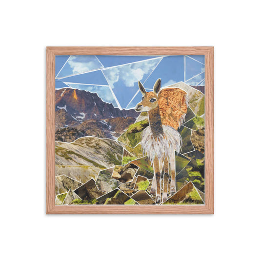 vicuna framed print