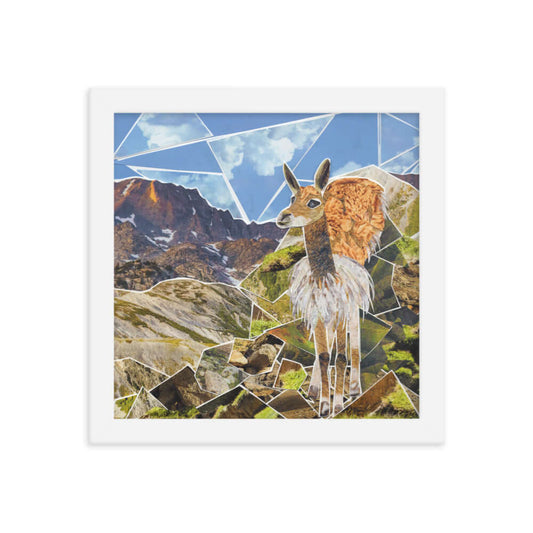 vicuna framed print