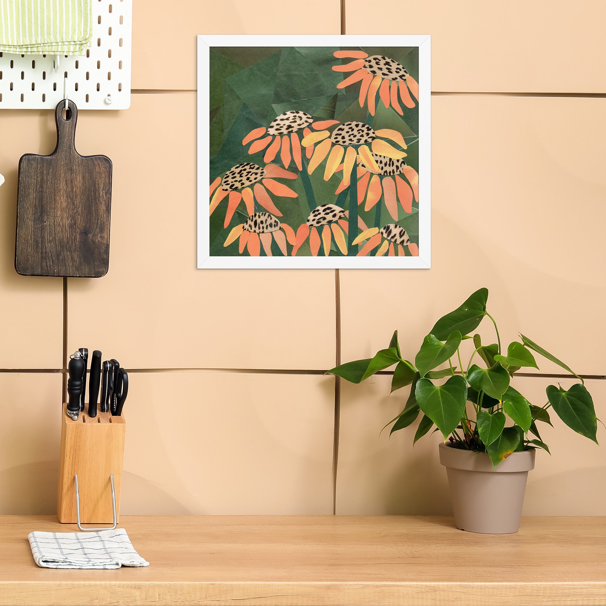 coneflower framed print