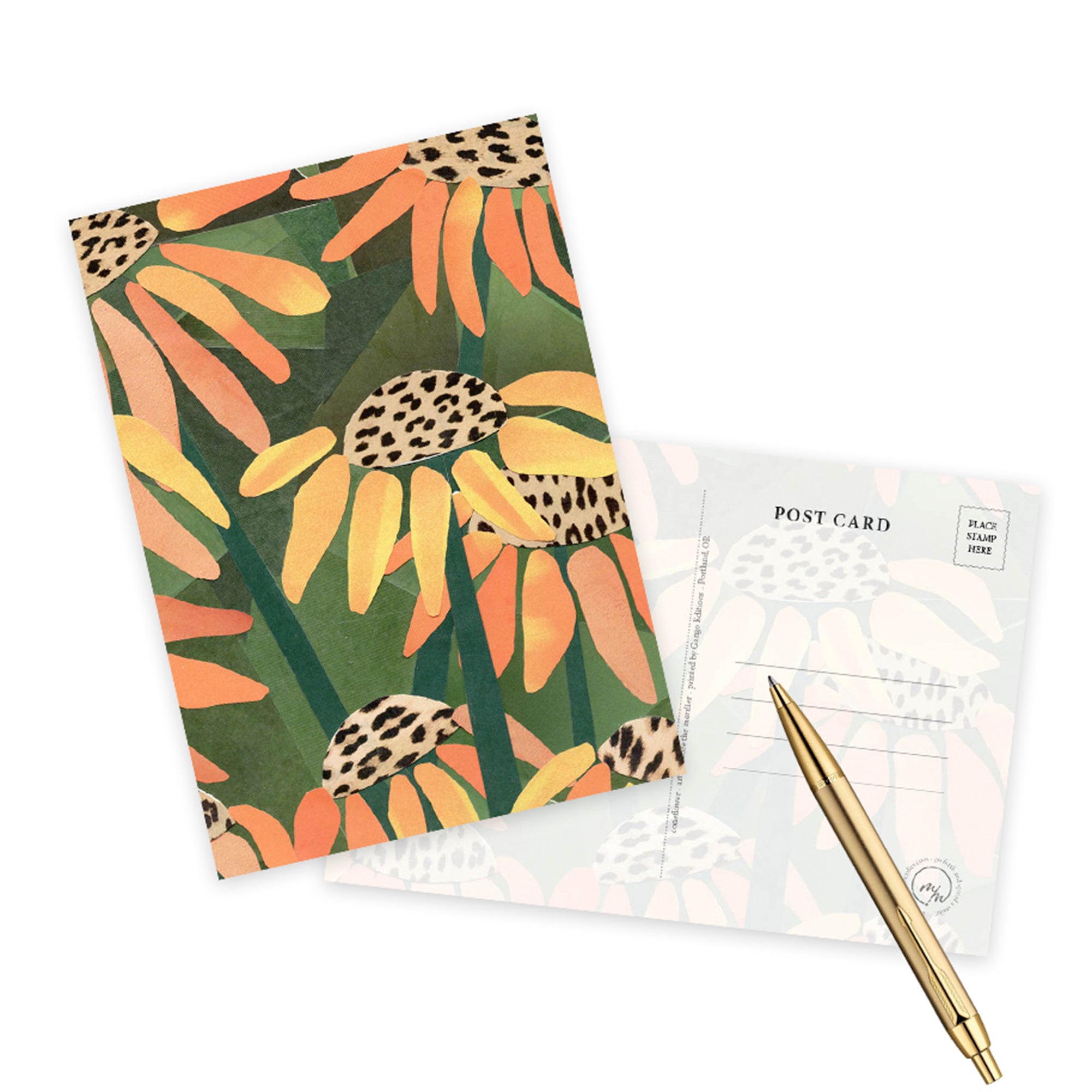 coneflower greeting card