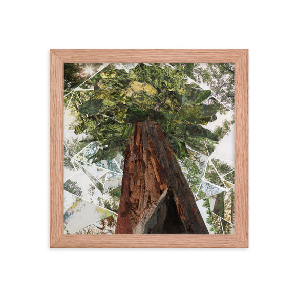 redwoods print, red oak frame