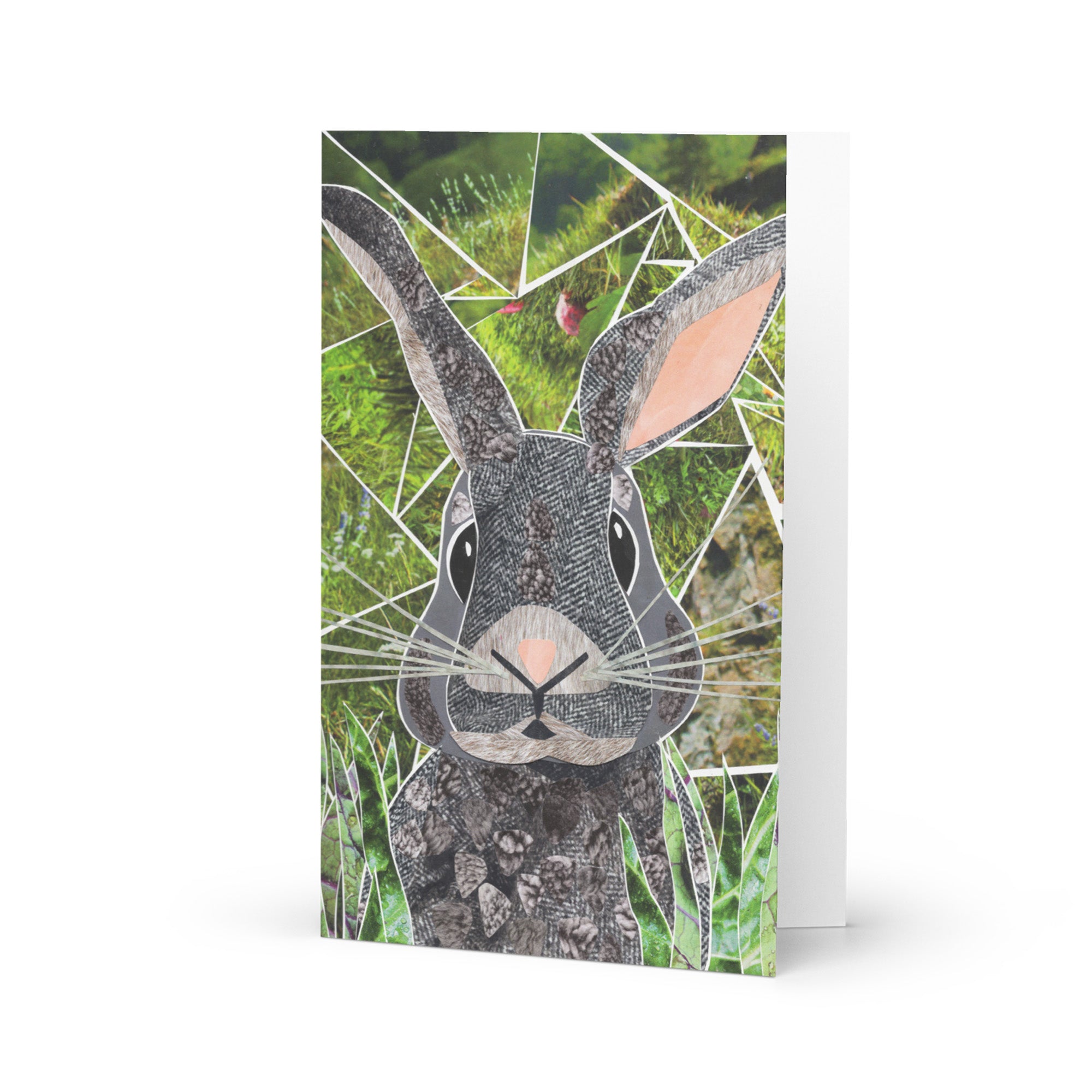 rabbit greeting card