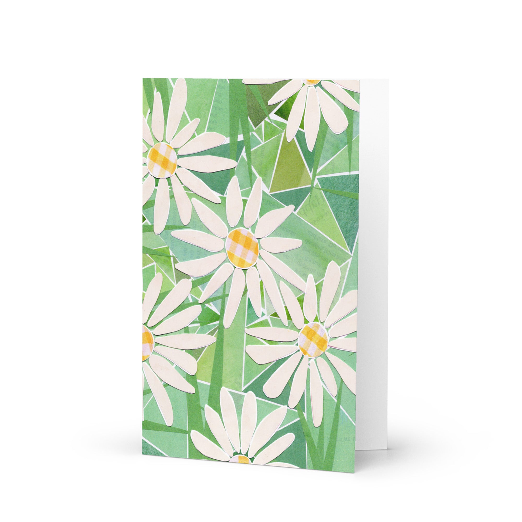 daisy