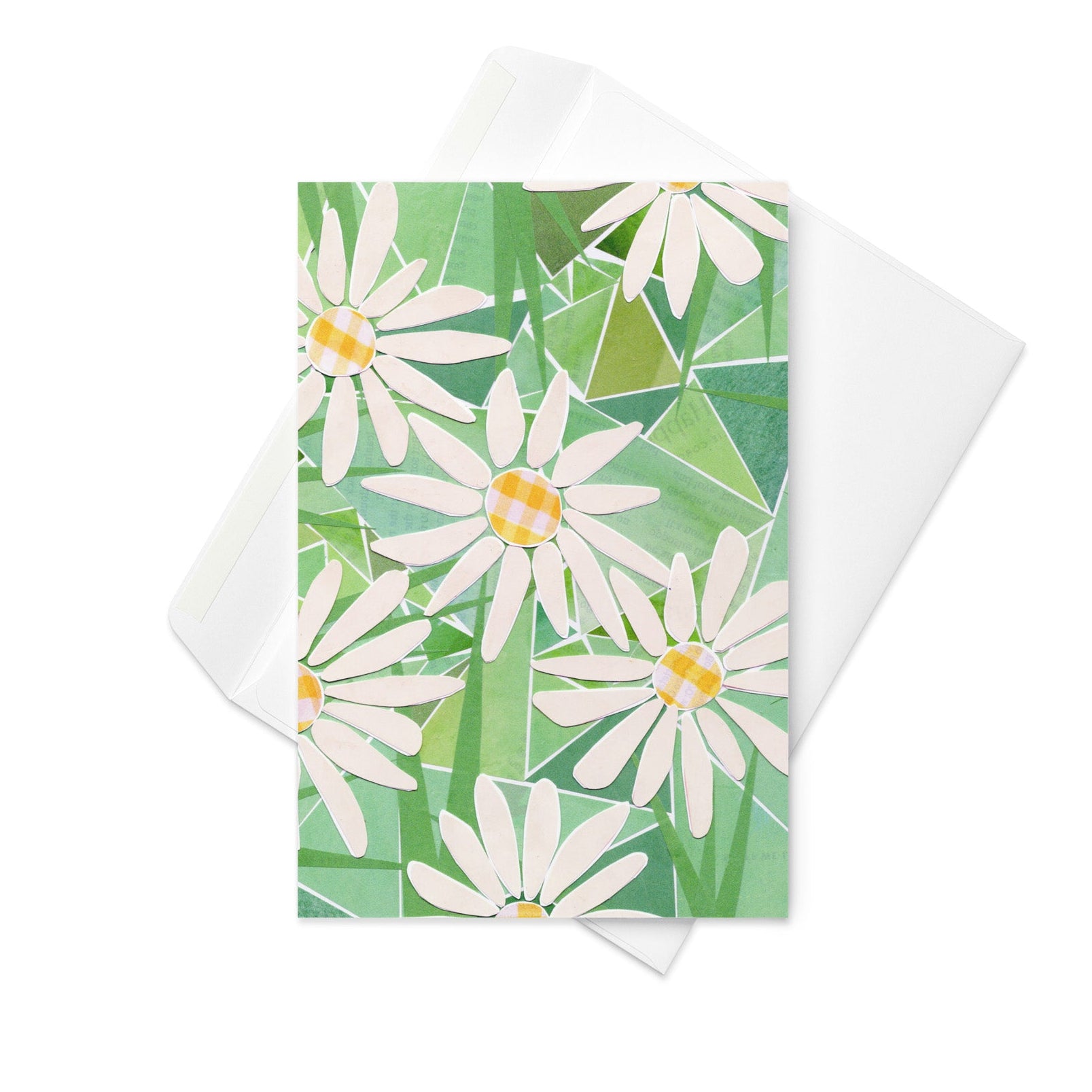 daisy