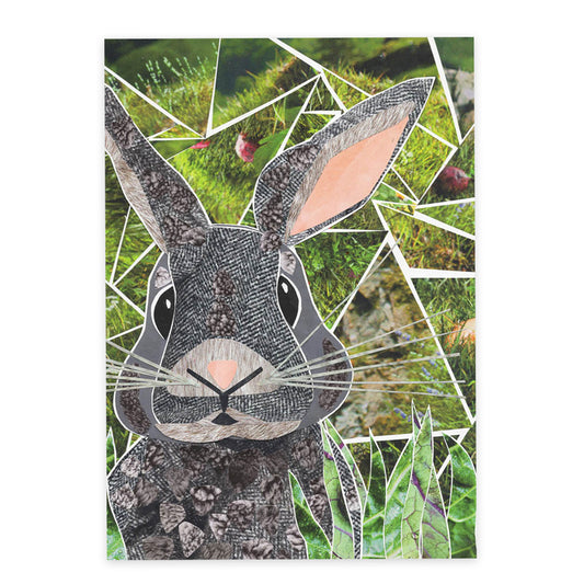 rabbit postcard