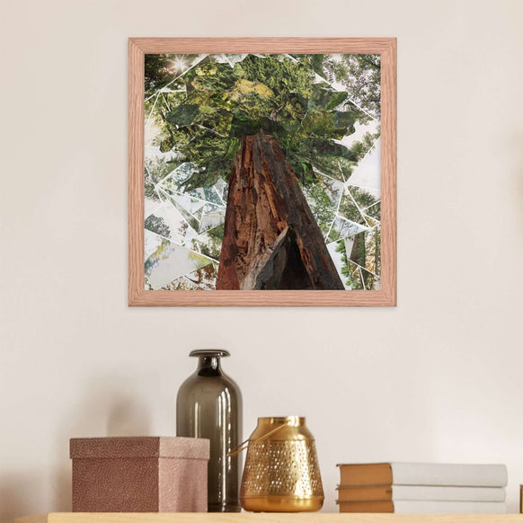 redwoods print in a room setting